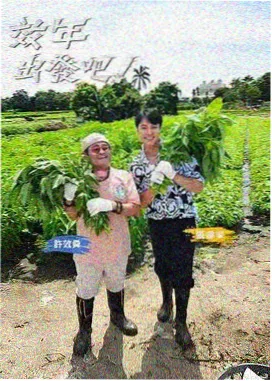 朋友妈妈观察日记综艺现场